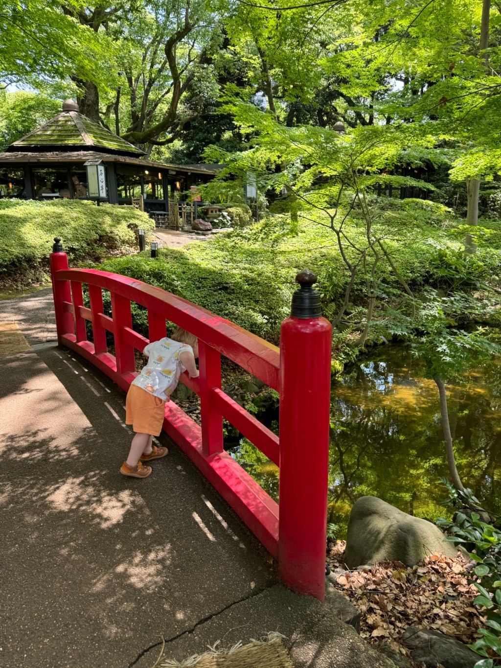 Japan in 18 days with a toddler